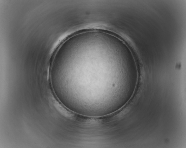 X0000111231224200907021351