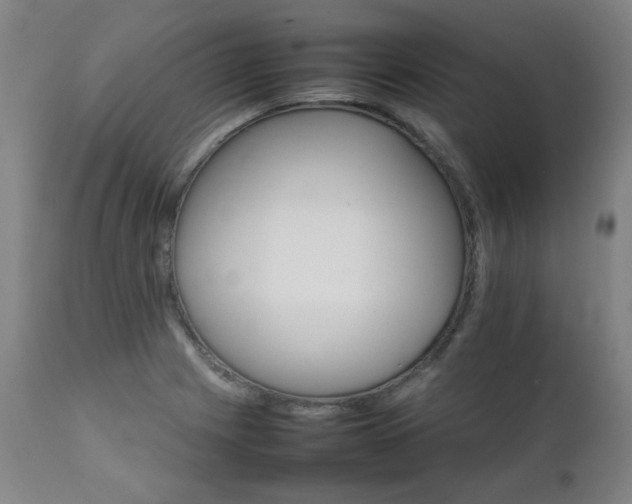 X0000111231225200907021351