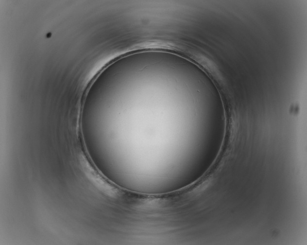 X0000111231228200907021351