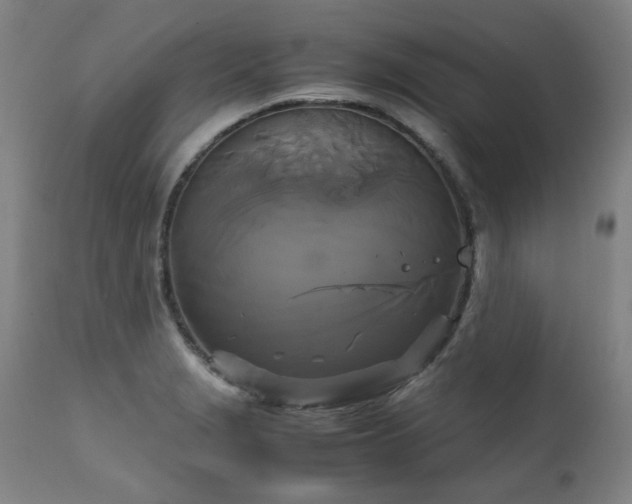 X0000111231229200907021351
