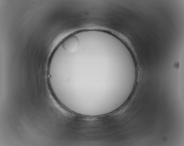 X0000111231231200907021351