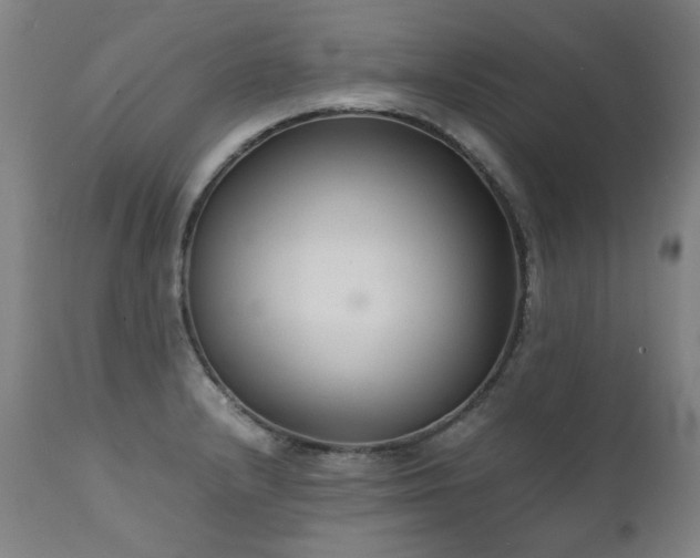X0000111231232200907021351