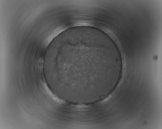 X0000111231233200907021351