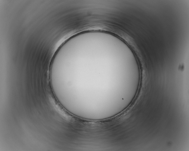 X0000111231234200907021351