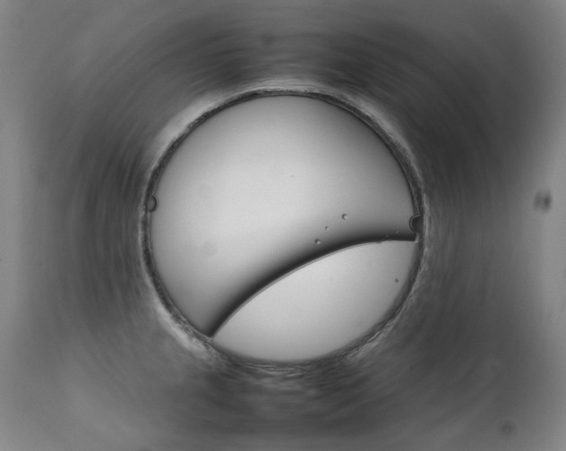 X0000111231237200907021351