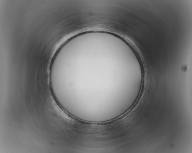 X0000111231238200907021351