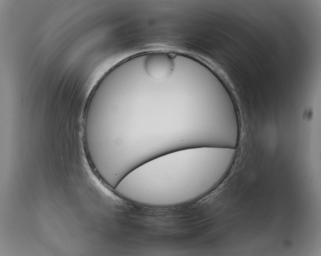 X0000111231239200907021351
