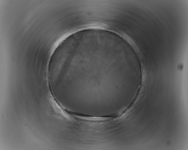 X0000111231240200907021351