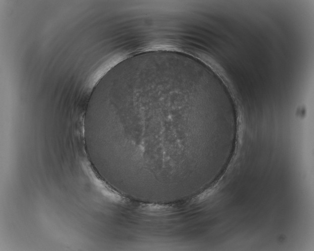 X0000111231241200907021351