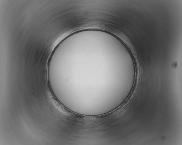 X0000111231242200907021351