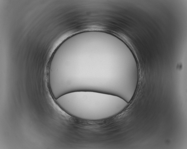 X0000111231243200907021351