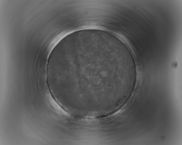 X0000111231244200907021351