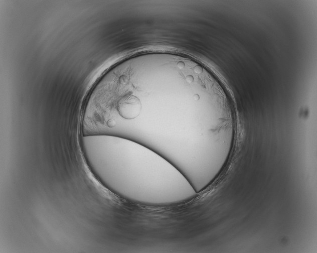 X0000111231245200907021351