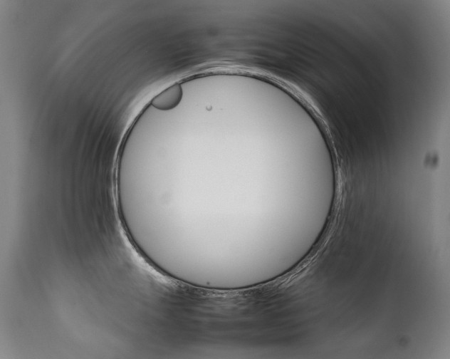 X0000111231247200907021351