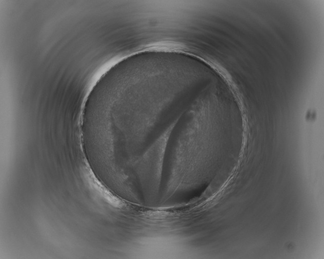 X0000111231248200907021351