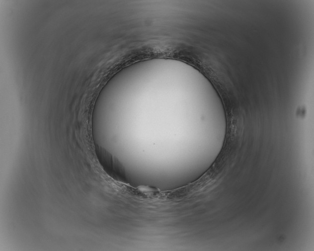 X0000111231249200907021351