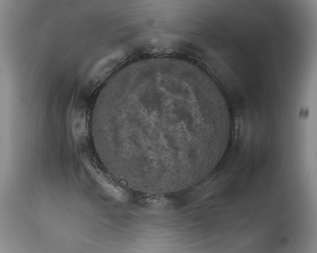 X0000111231250200907021351
