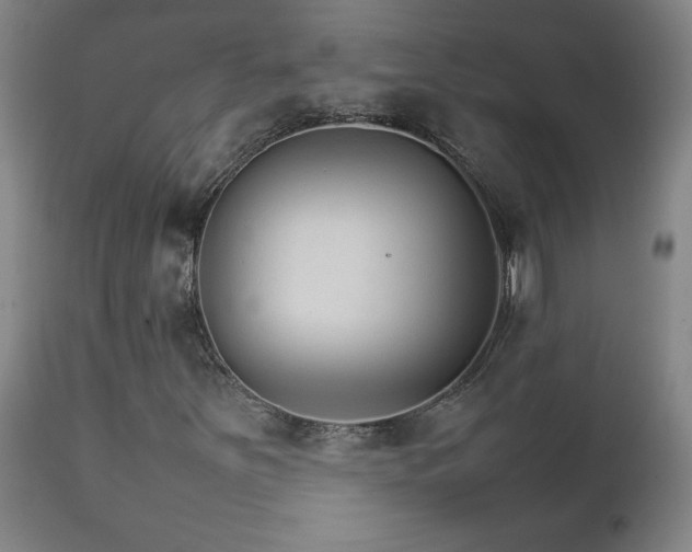 X0000111231251200907021351