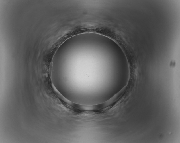 X0000111231253200907021351