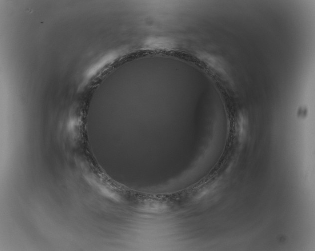 X0000111231254200907021351