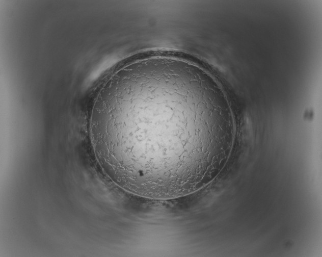 X0000111231255200907021351