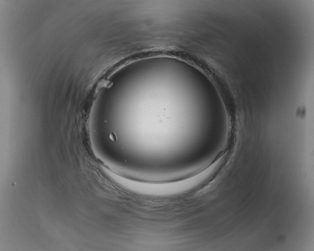 X0000111231257200907021350