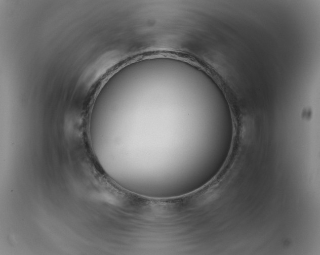X0000111231258200907021350