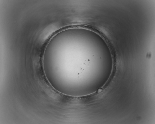 X0000111231259200907021350