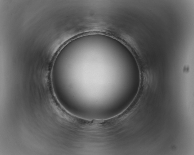 X0000111231260200907021350