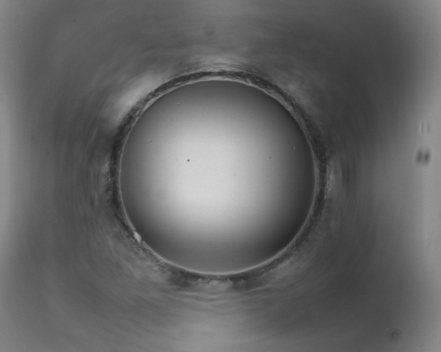 X0000111231261200907021350