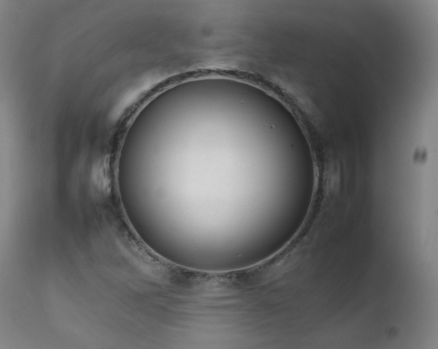 X0000111231262200907021350
