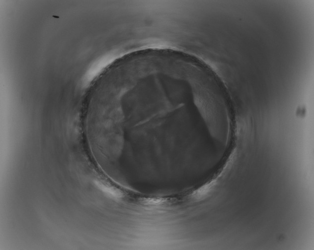 X0000111231263200907021350
