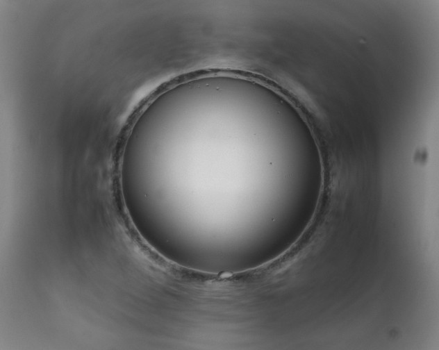 X0000111231264200907021350