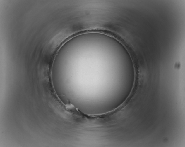 X0000111231265200907021350