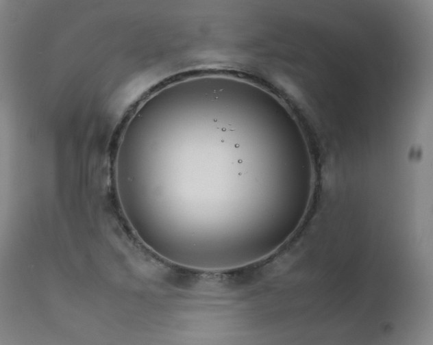 X0000111231267200907021350