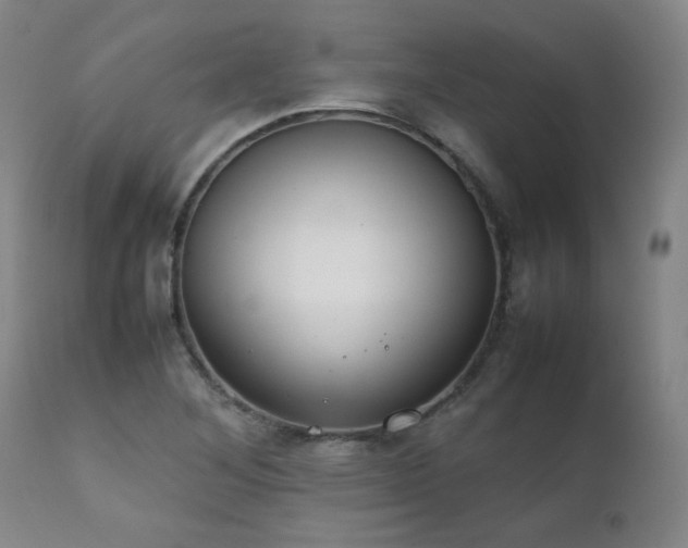 X0000111231268200907021350