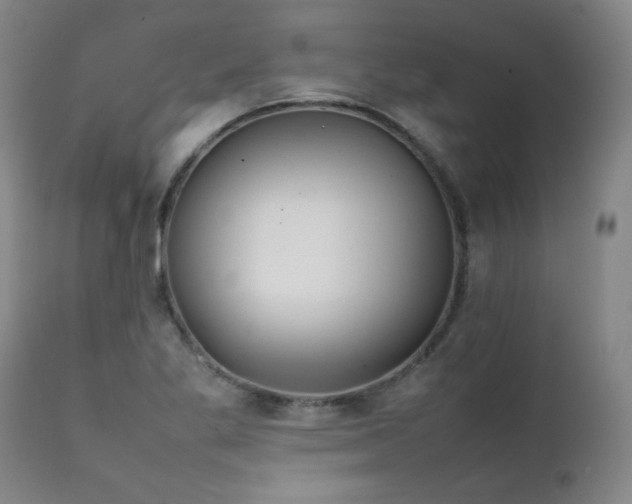 X0000111231269200907021350