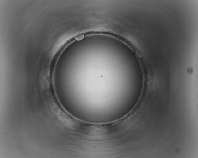 X0000111231270200907021350