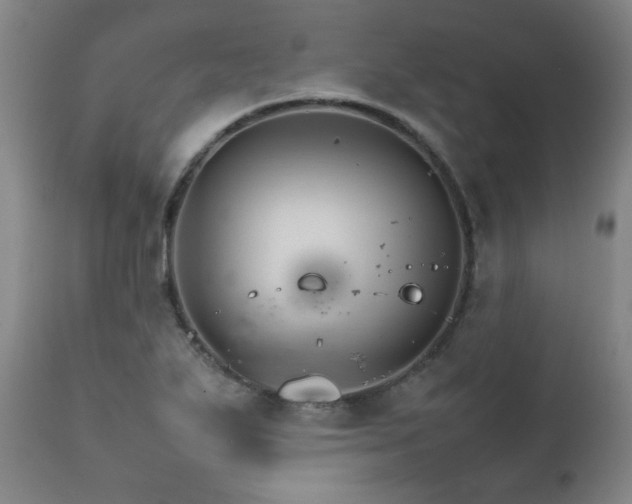 X0000111231271200907021350