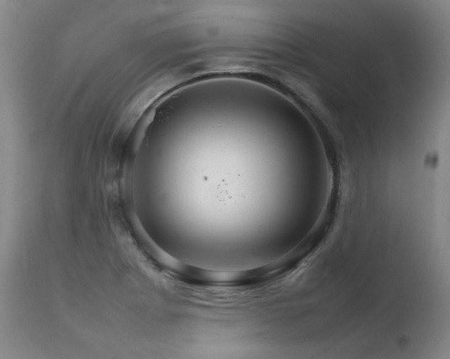 X0000111231273200907021350