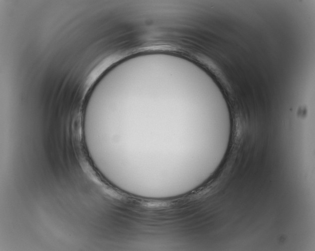 X0000111231274200907021350