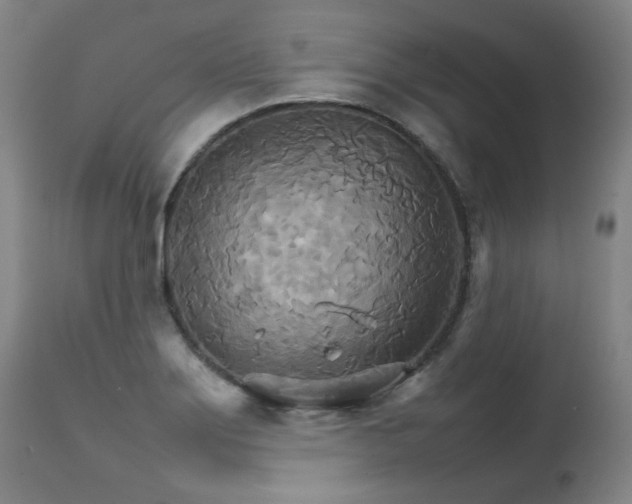 X0000111231275200907021350