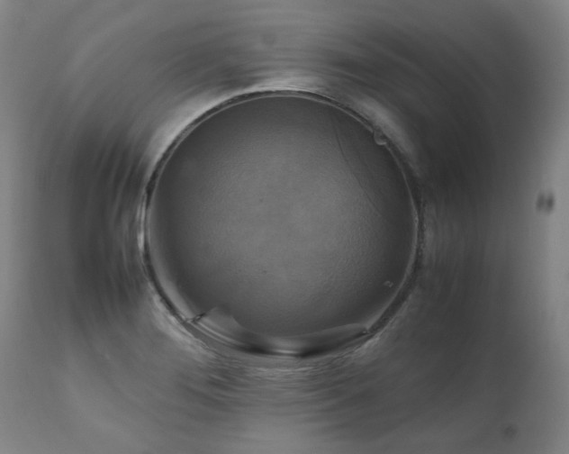 X0000111231276200907021350