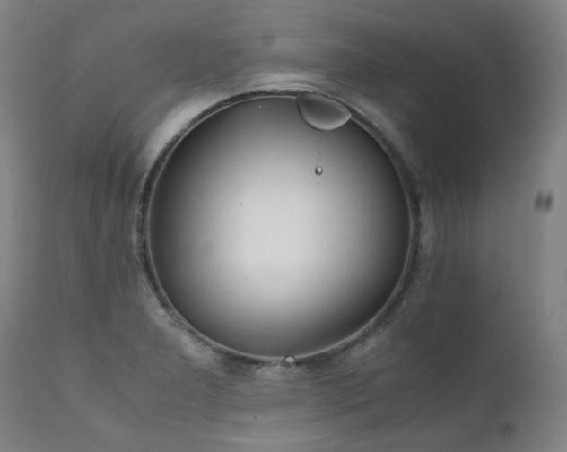 X0000111231277200907021350