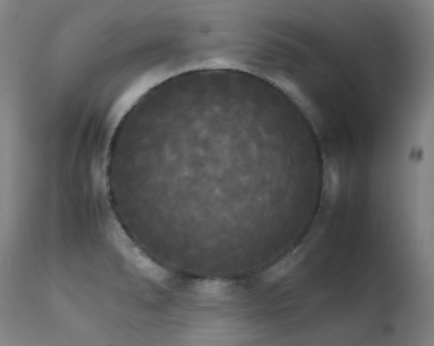 X0000111231278200907021350