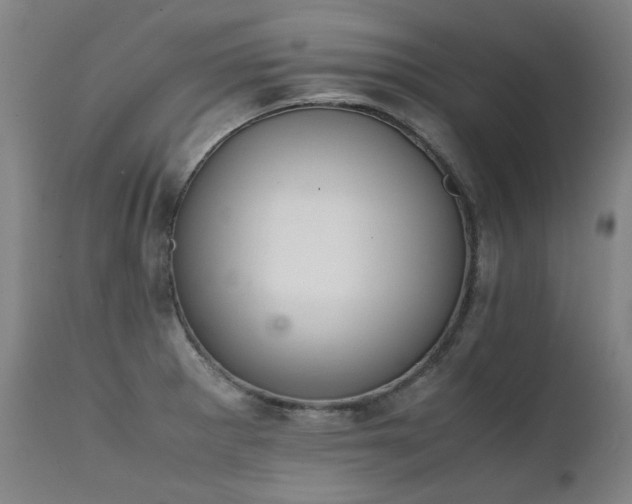 X0000111231281200907021350