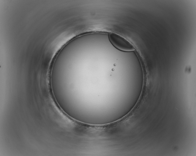 X0000111231285200907021350