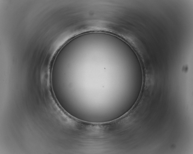 X0000111231286200907021350