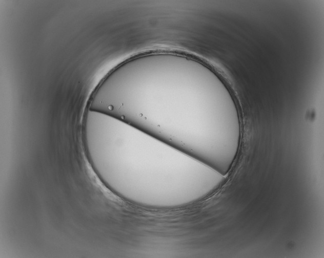 X0000111231287200907021350