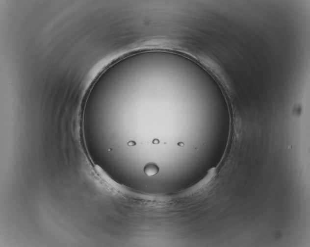 X0000111231288200907021350